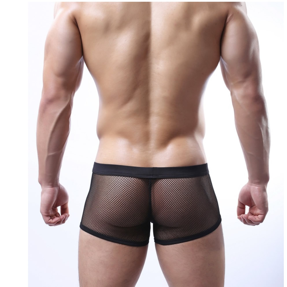 Male Sexy Lingerie Mesh Shorts Boxers See-through Translucent Underwear Sheer Brief 